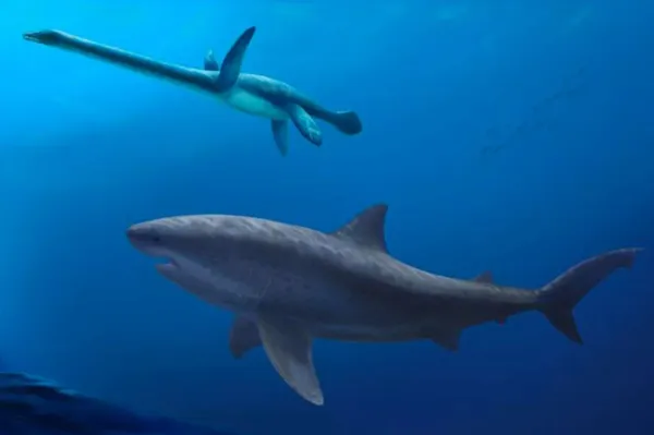 Presenetljivo odkritje znanstvenikov: tega o morskih psih doslej niso vedeli