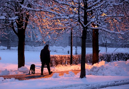 Zasnežena Ljubljana, sneg, Ljubljana, sneženje, zima