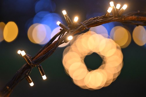 Arboretum volčji potok Nočni sprehod med lučkami