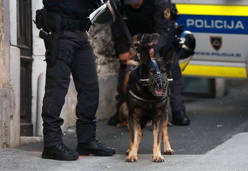 Protestni shod v Novem mestu