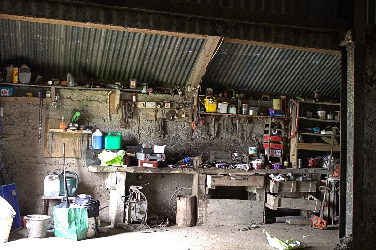 V umazani garaži hranil neprecenljiv zaklad, nato postal spletna senzacija (FOTO)