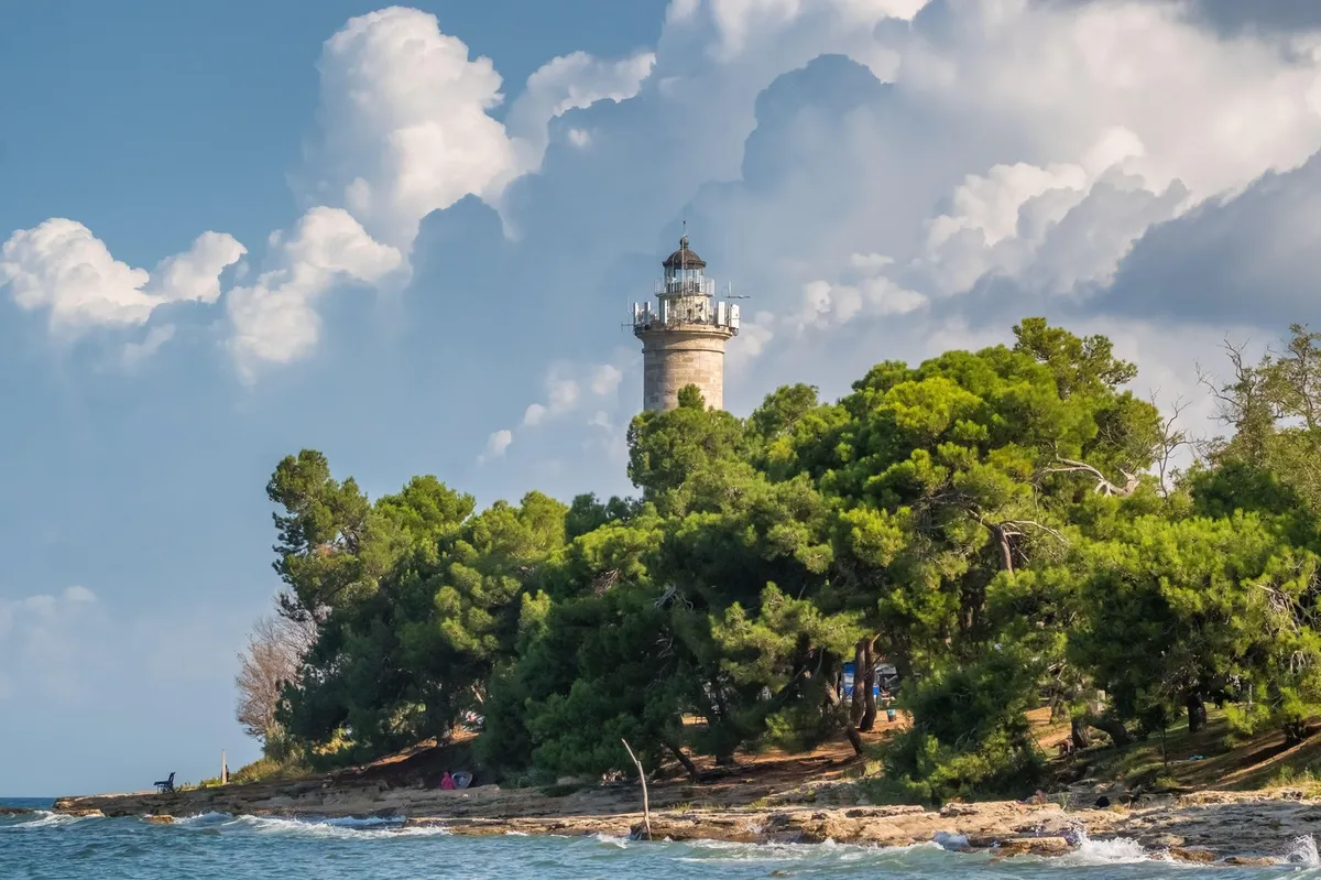 Pri Savudriji opazili velikansko ribo nenavadne oblike