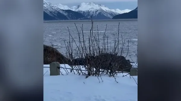 Posnetek, ki bega splet. Se voda premika, ali stoji? Ali oboje?