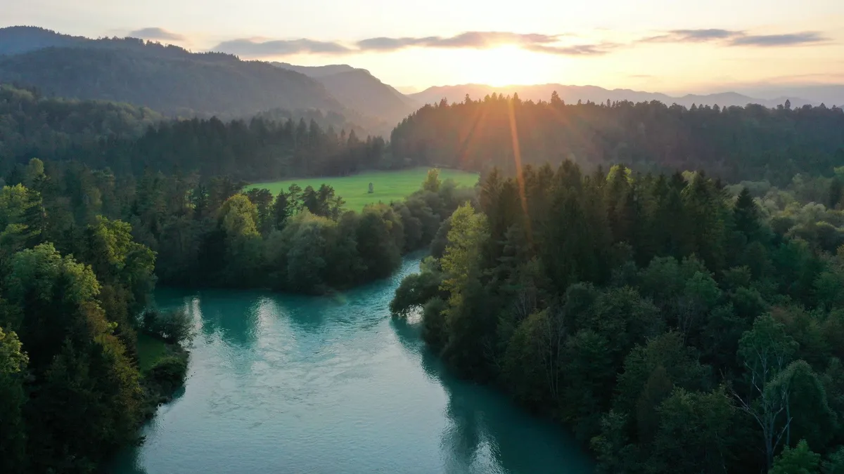 Kakšna prihodnost čaka sotočje Save Bohinjke in Save Dolinke?