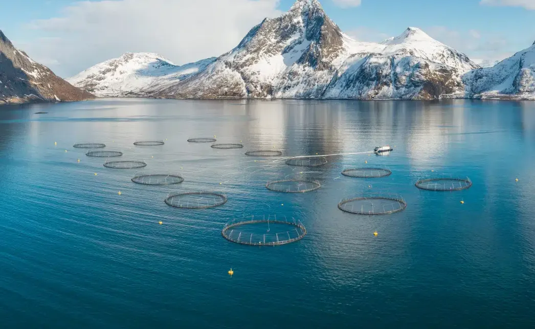 Odmeven oglas za delo na Norveškem: plača vsaj 3.000 evrov, izkušnje niso pogoj