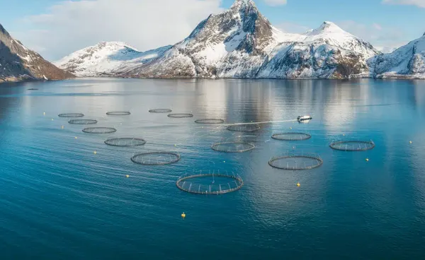 Odmeven oglas za delo na Norveškem: plača vsaj 3.000 evrov, izkušnje niso pogoj