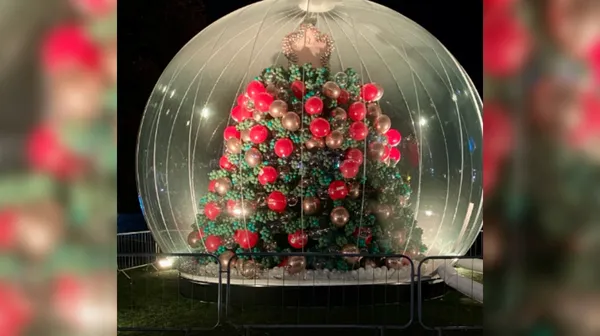 Praznični spektakel: božično drevo, ki ga sestavlja kar 100.000 balonov