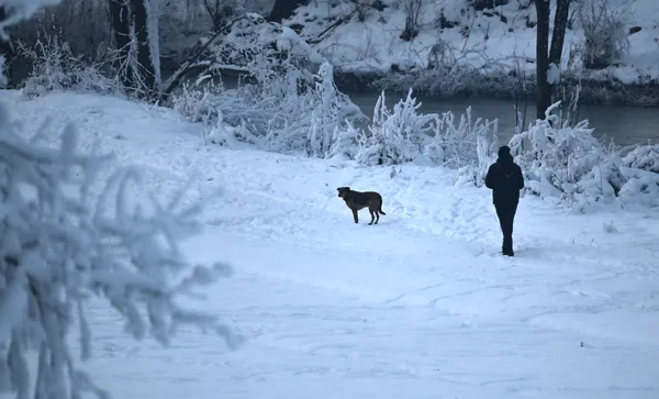 Zakaj se napoved o snegu spreminja iz dneva v dan? Pojasnjuje meteorologinja