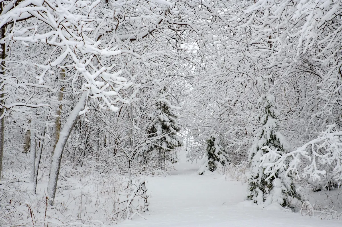 Sudancem, ki so poskušali čez gore priti na Hrvaško, so morali amputirati noge