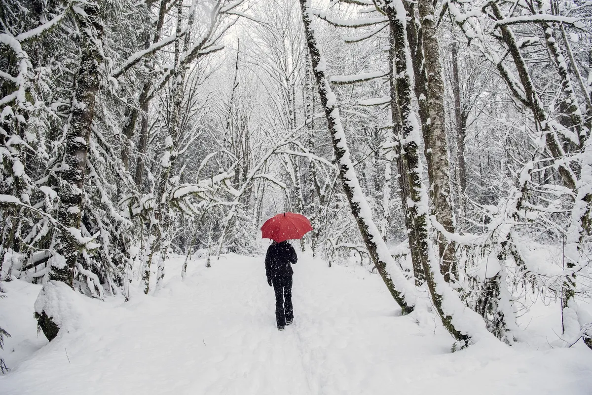 Kdaj je pozimi najboljši čas za sprehod