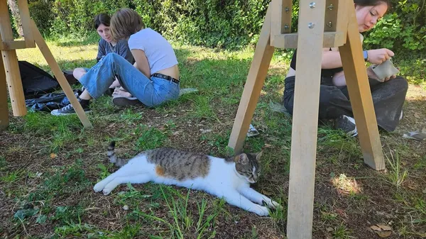 Reška šola ima posebno učenko: "Navdih v razredu in oddih od šolskega stresa"