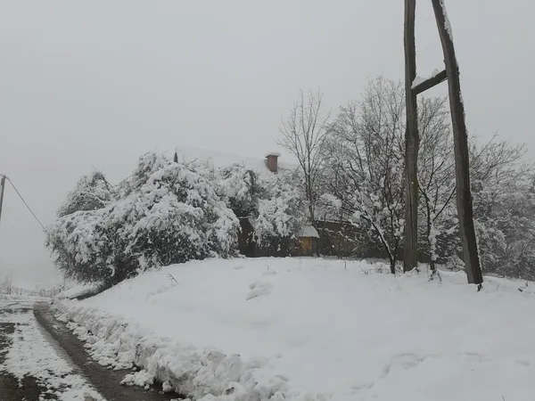 Zaradi snegoloma na stotine odjemalcev na Štajerskem že več dni brez elektrike