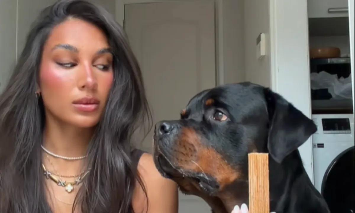 Nov trend na omrežjih: psi spoštujejo, kar nekateri moški ne (VIDEO)