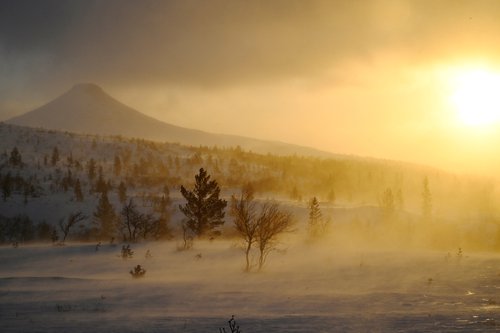 Snežna nevihta Johannes na Švedskem