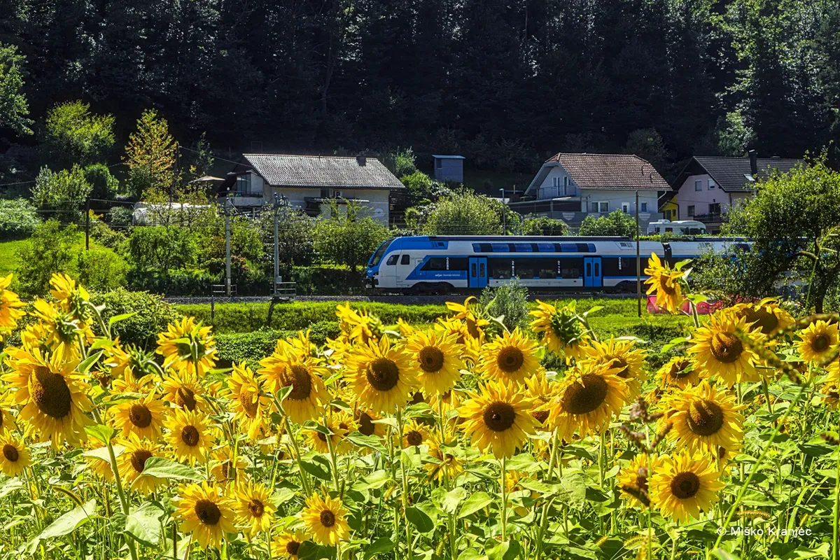 Slovenske železnice so v letu 2025 prejele kar dve mednarodni nagradi