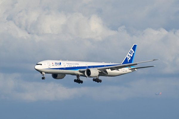 Nezaželen gost ohromil promet na japonskem letališču (VIDEO)