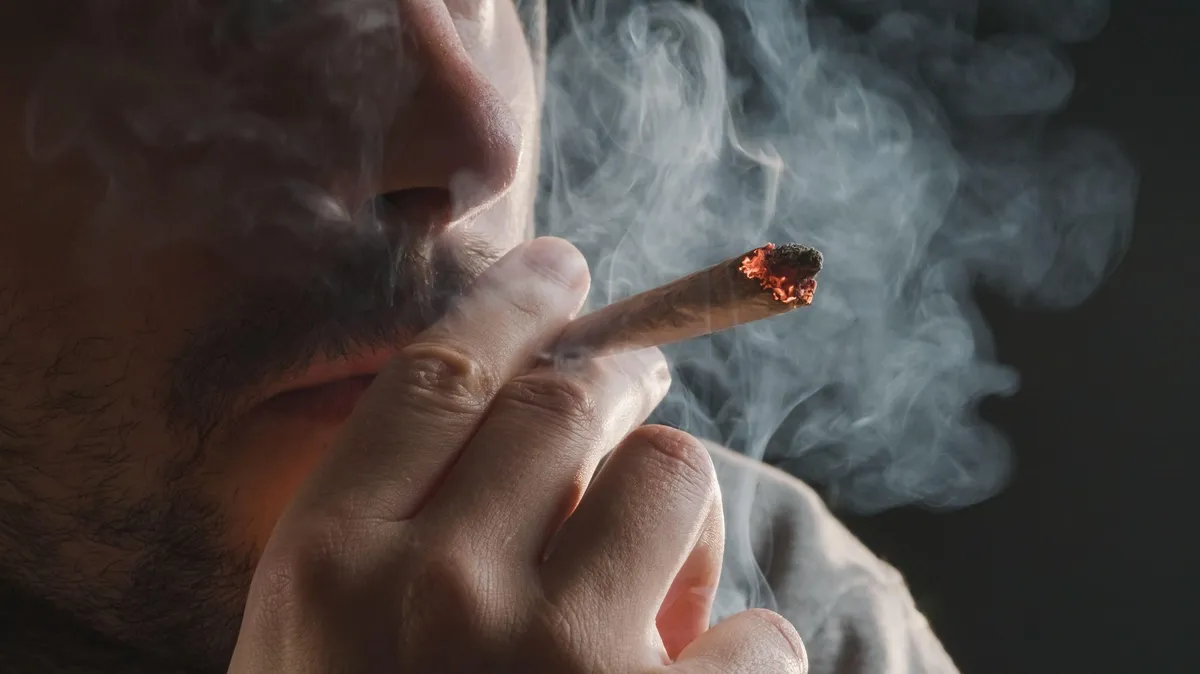 Resnica predlaga testiranje funkcionarjev na droge, z izjemo marihuane, ki bi jo legalizirali