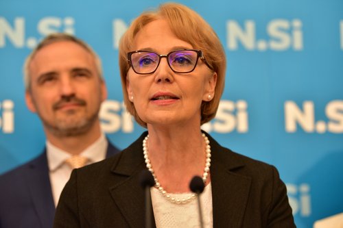 vida čadonič špelič, nsi