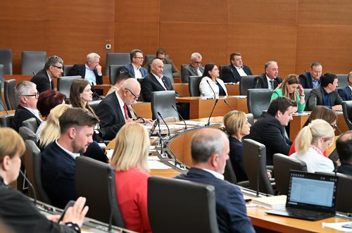 Državni zbor, poslanci