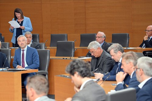 Državni zbor, poslanska vprašanja, SDS