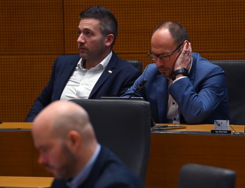 NSi poslanska skupina