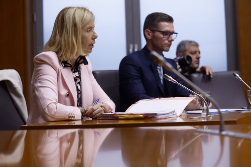 Tatjana Bobnar, preiskovalna komisija, DZ, notranja ministrica