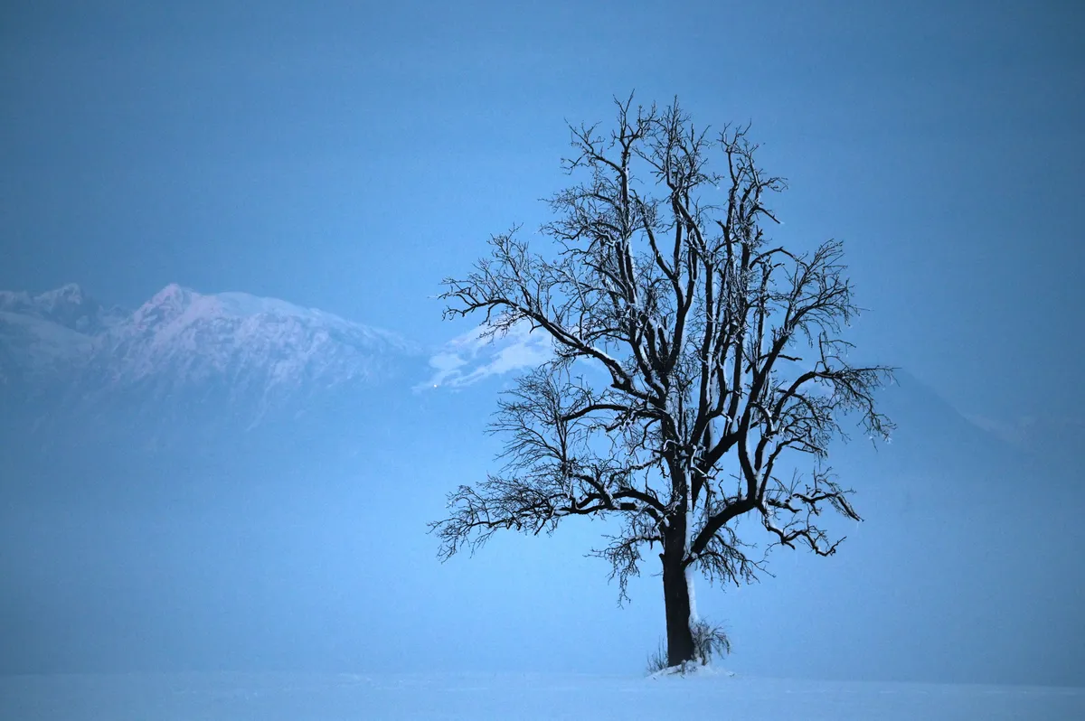 Prihaja zelo mrzel zrak, ponekod bi lahko snežilo tudi več dni