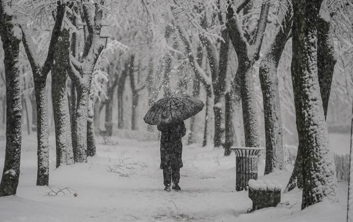 Balkan v snežnem primežu, v Sarajevu ob padcu drevesa umrla ženska