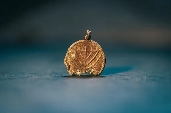 Blizu Tempeljskega griča arheologi naleteli na izjemno odkritje, staro več kot tisoč let