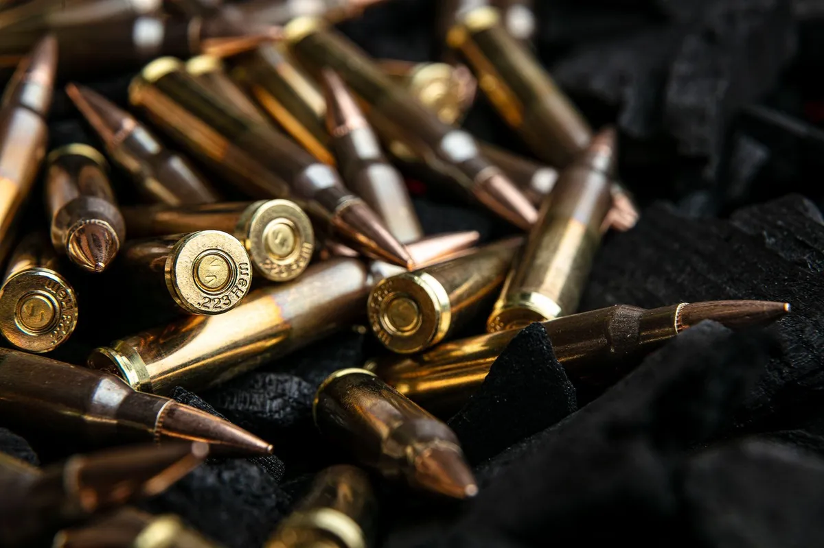 Poziv k predaji nezakonitega orožja: doslej le 38 izročitev