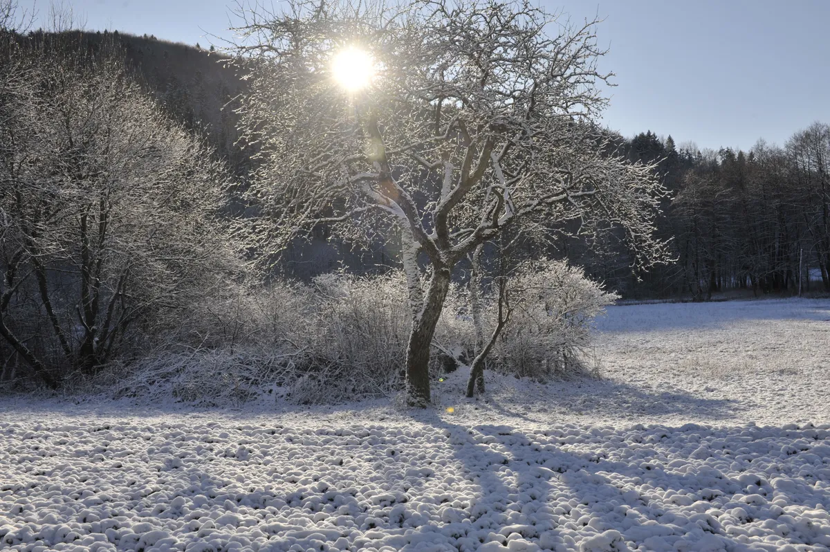 Sonce in sneg: čaka nas čudovita nedelja