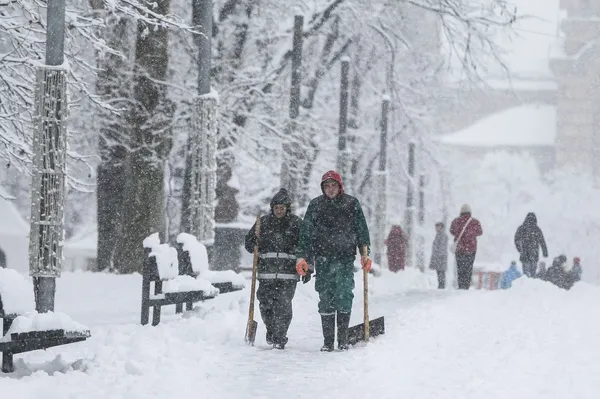 Splet ne more verjeti, s čim so v Beogradu "kidali" sneg (FOTO & VIDEO)