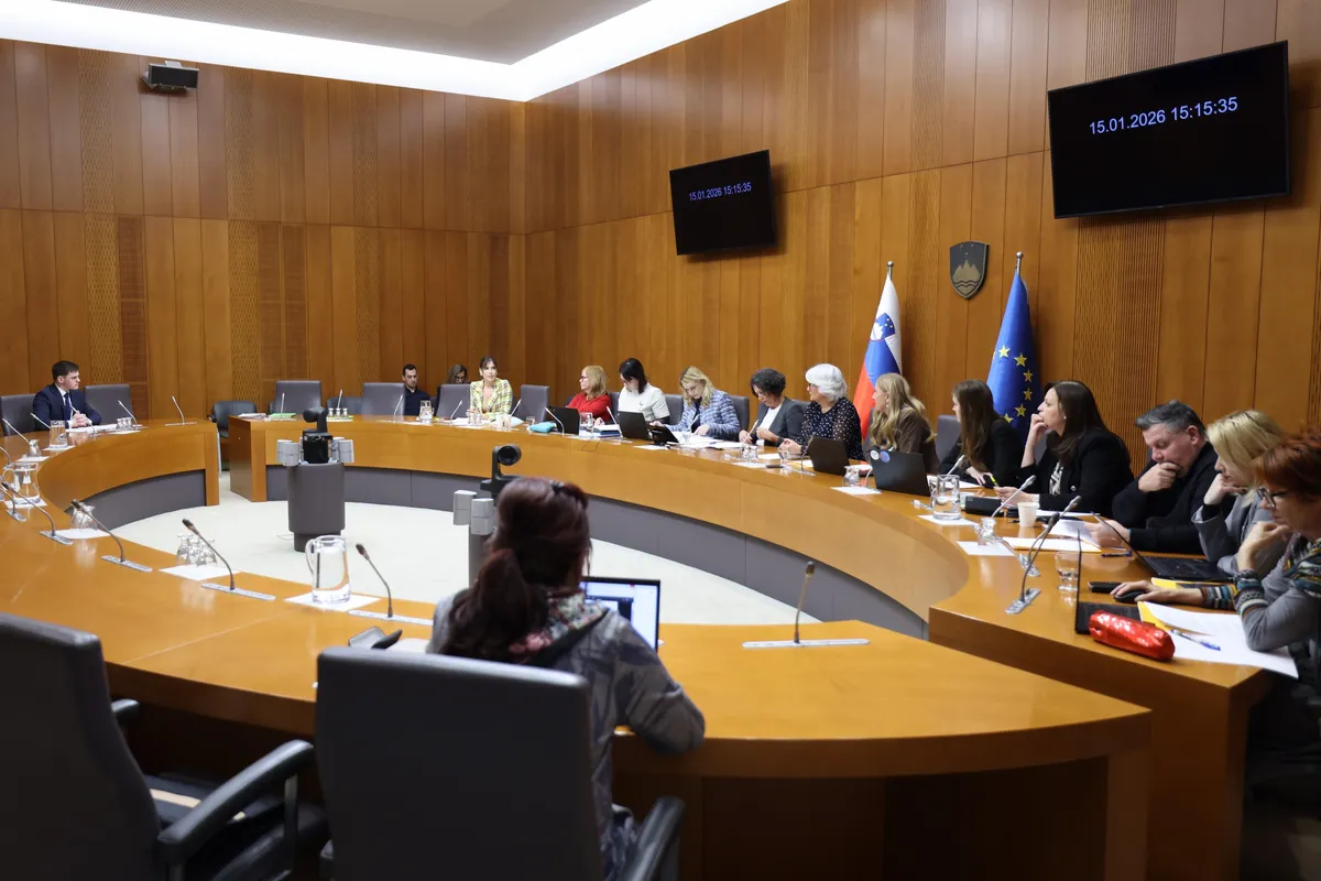 Posvetovalni referendum o e-volitvah brez podpore parlamentarnega odbora