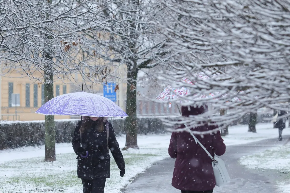 Prizor na ulici presenetil občane. Strokovnjak: "Ne približujte se in ne paničarite" (FOTO)