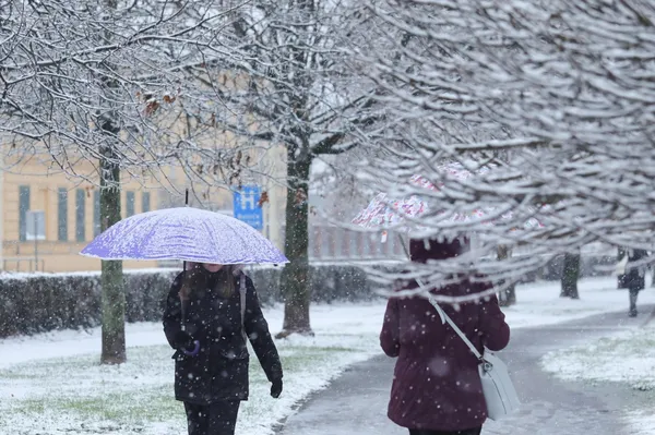 Prizor na ulici presenetil občane. Strokovnjak: "Ne približujte se in ne paničarite" (FOTO)