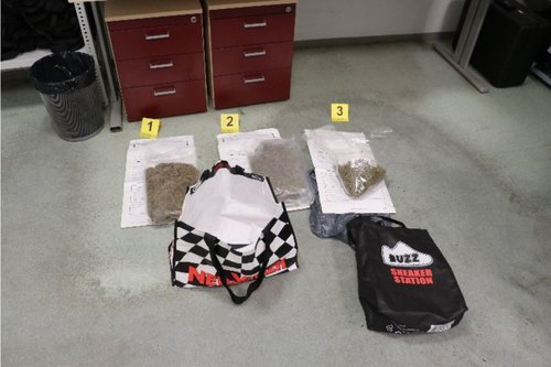 Koprski policisti zasegli konopljo