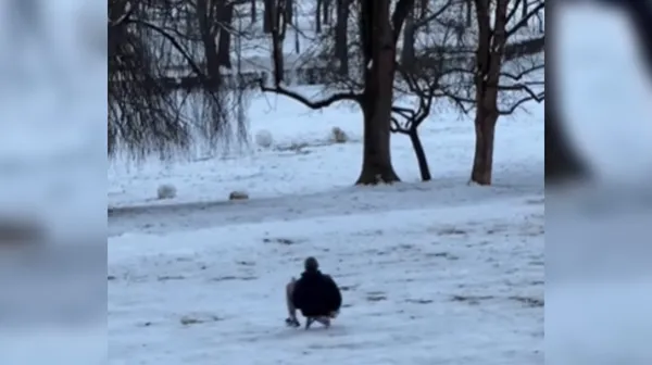 Mimoidoči niso mogli verjeti, kateri zvezdnik se je sankal v Tivoliju