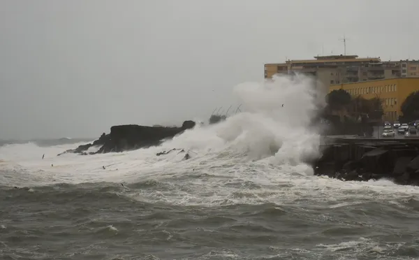 V Sredozemlju posneli najvišji val doslej (VIDEO)