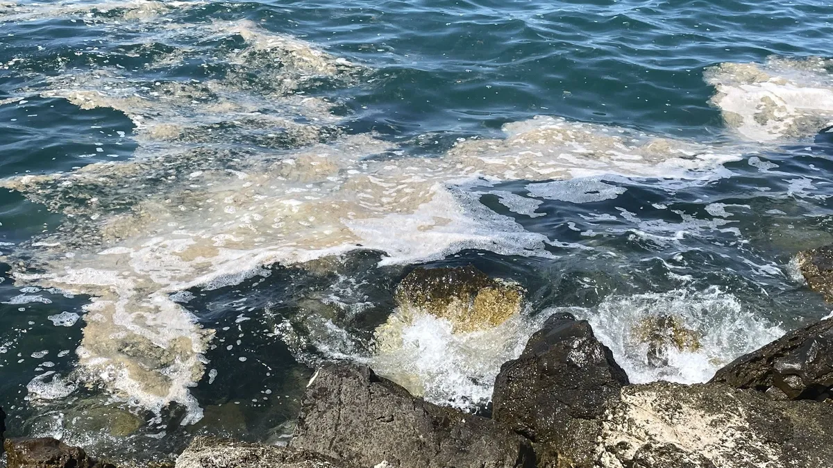 Hrvaški znanstveniki odkrili, kaj je povzročilo obsežno sluzenje Jadrana