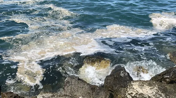 Hrvaški znanstveniki odkrili, kaj je povzročilo obsežno sluzenje Jadrana