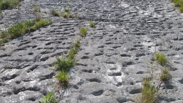 Presenetljivo odkritje pri sosedih. Odkrili so ga po naključju