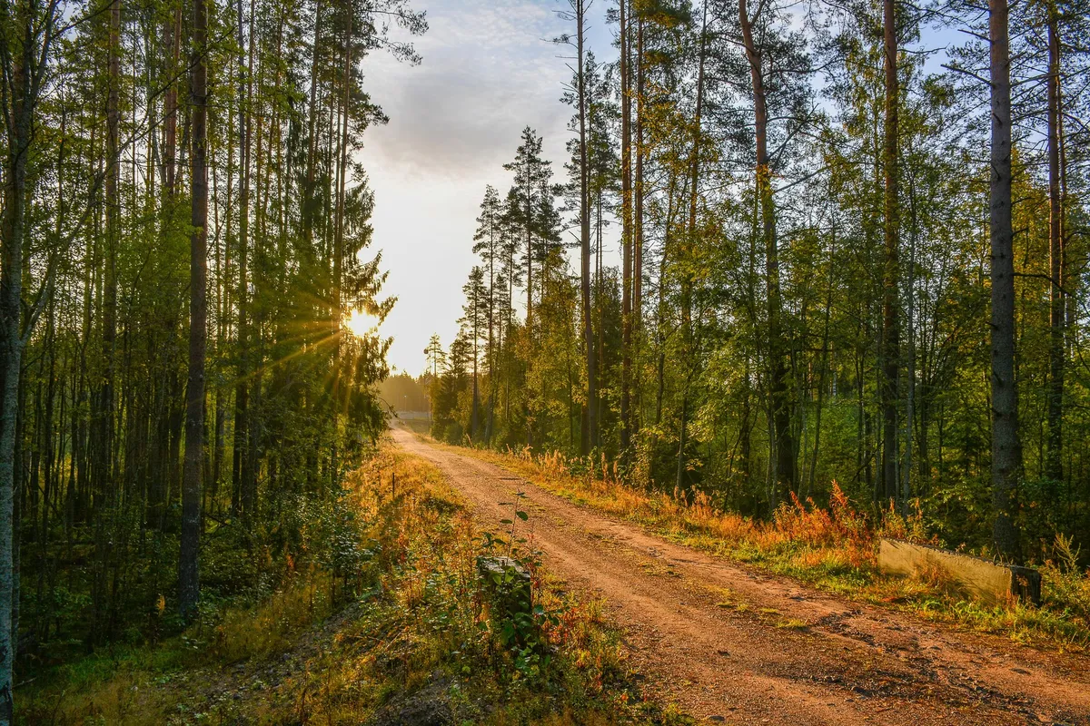 Po deževni noči in dopoldnevu nas bo pozdravilo sonce