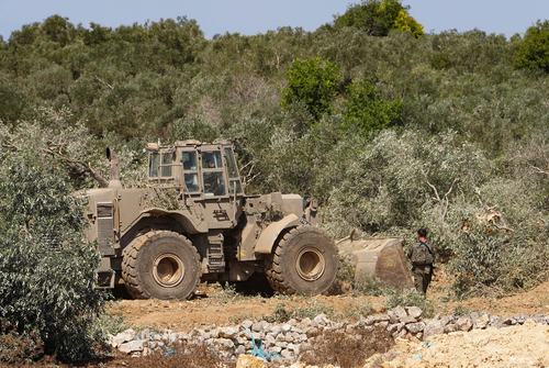 Israeli military machinery uproots olive trees in the Palestinian village of Beit Rima near Ramallah, in the Israeli-occupied West Bank, September 24, 2026. REUTERS/Ali Sawafta