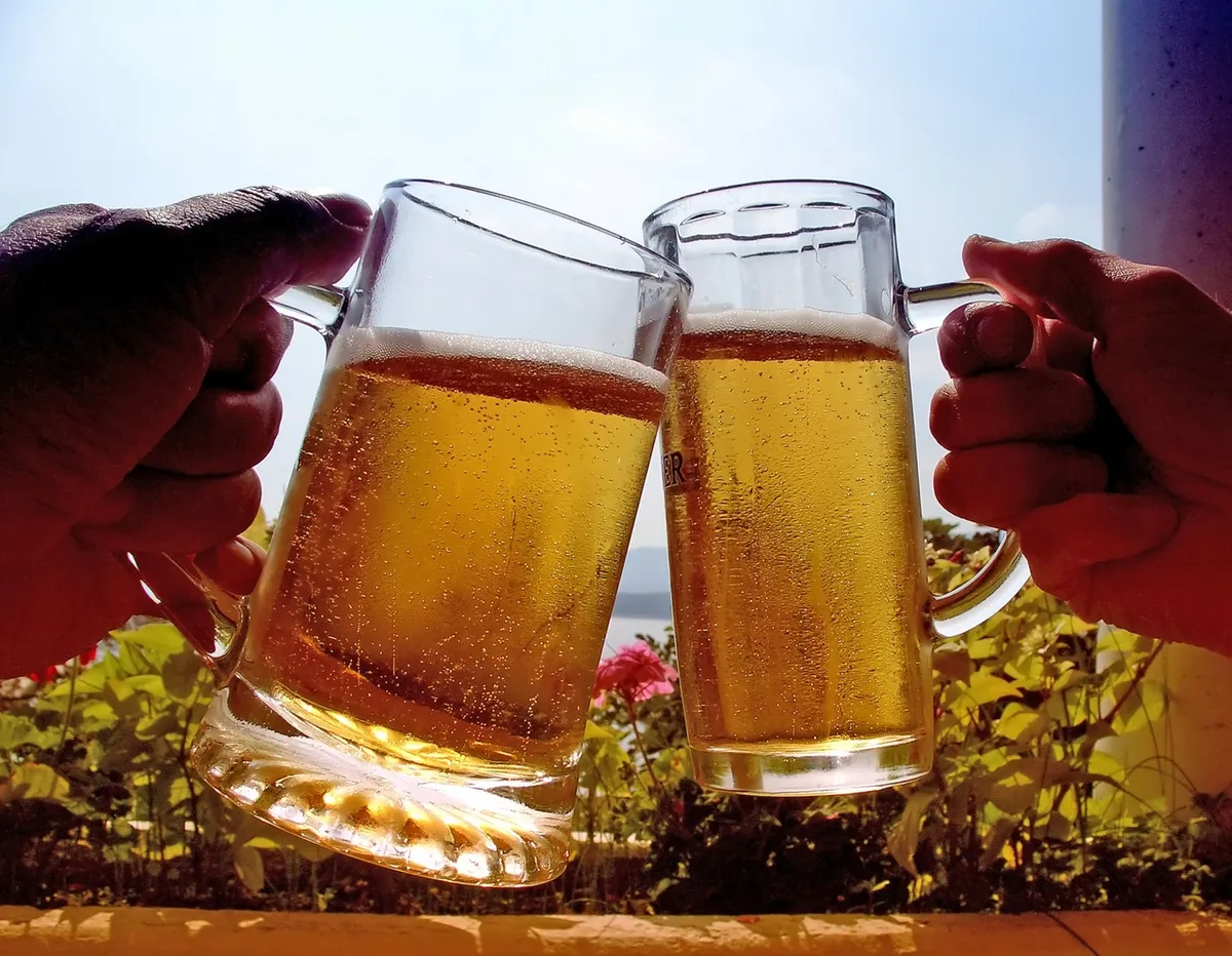 Kaj se zgodi z jetri, če redno pijete pivo?