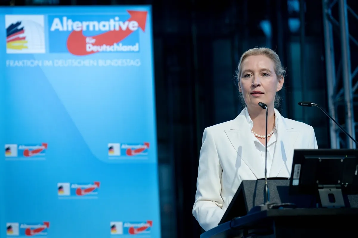 Nemška AfD tarča domnevne kraje internih elektronskih poštnih sporočil