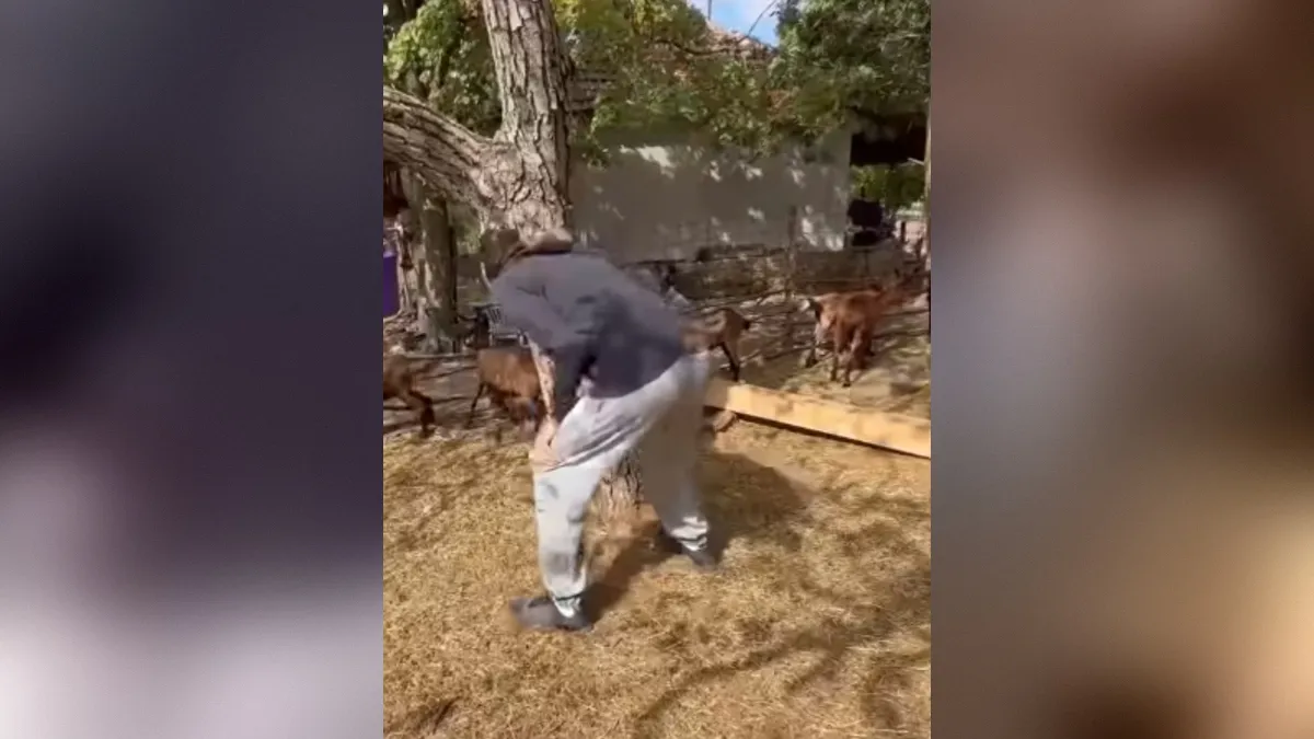 Zvezdnik, ki je užival v Sloveniji, objavil nov video in nasmejal splet do solz