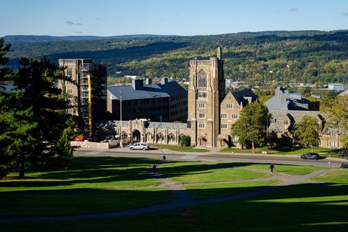 Univerza Cornell