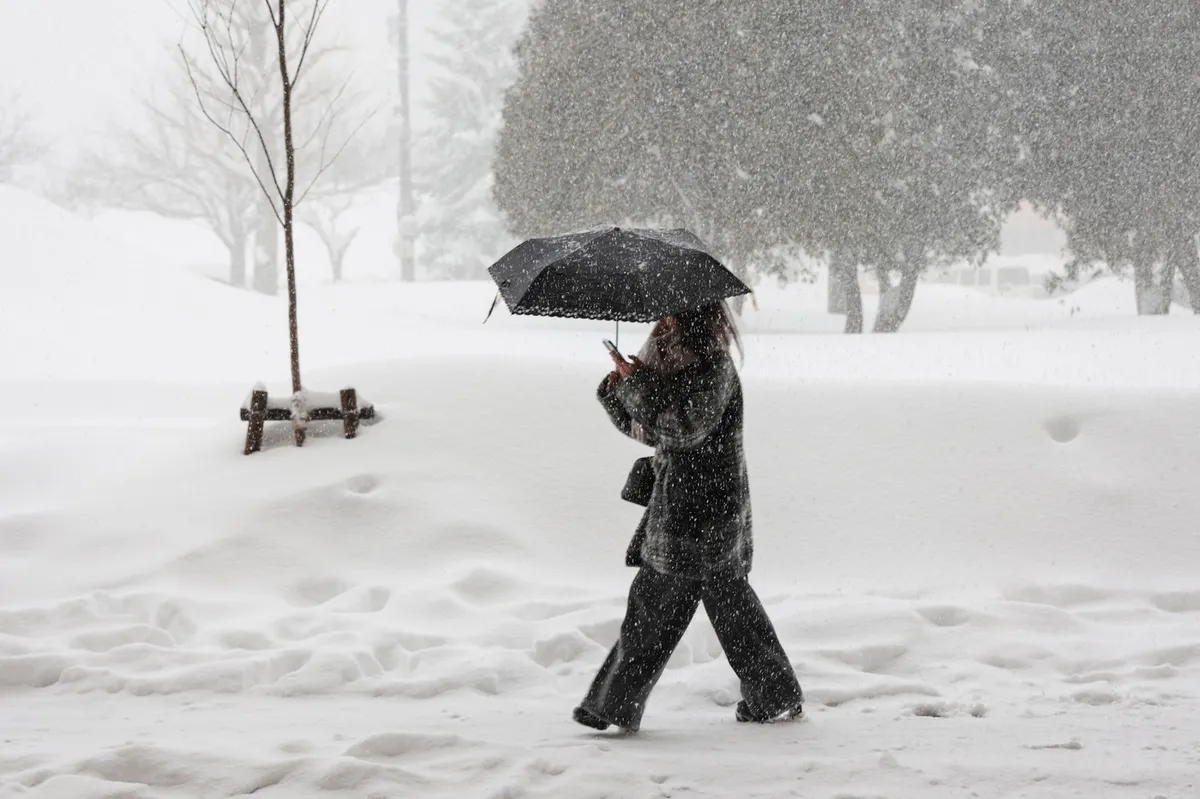 Neobičajno velike količine snega na Japonskem zahtevale 30 življenj