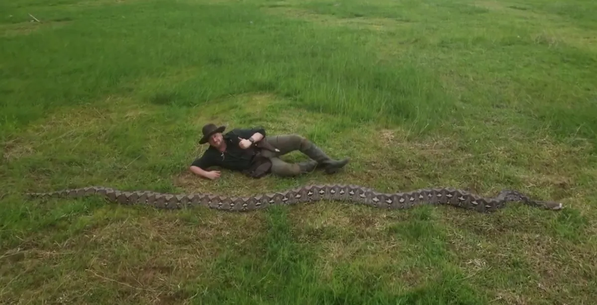 Kača podrla Guinnessov rekord (VIDEO)