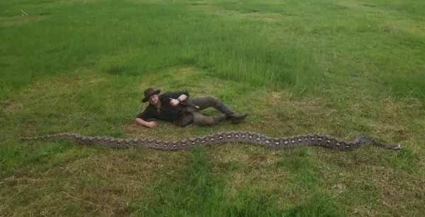 Kača podrla Guinnessov rekord (VIDEO)